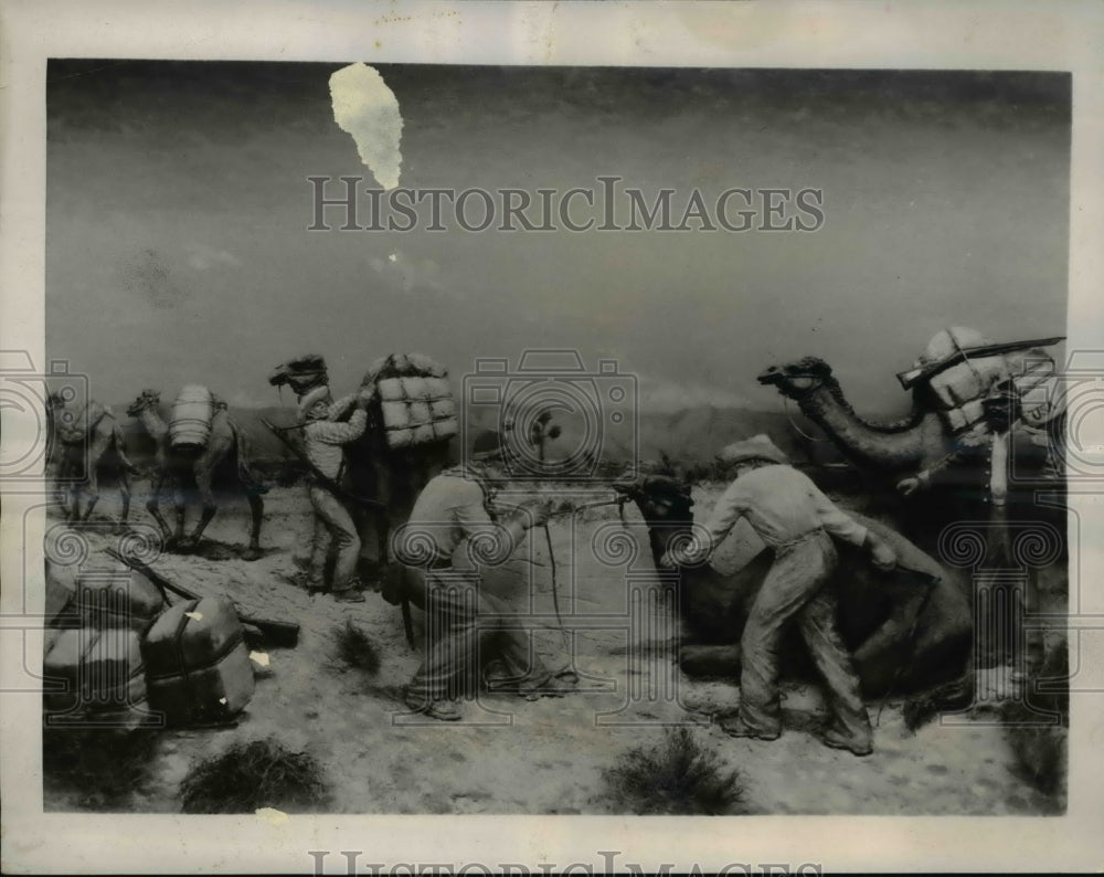 1941 Press Photo The camel express was started to carry freight - Historic Images