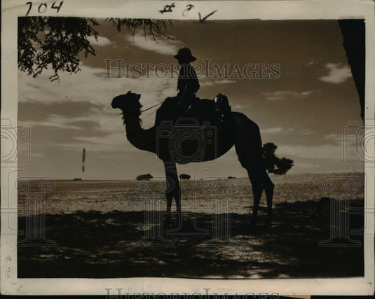 1939 Press Photo A camel policeman rests in the Kalahari Desert tree - Historic Images