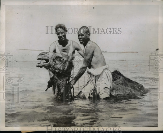 1937 Press Photo The annual bath of this camel while in chain and rope - Historic Images