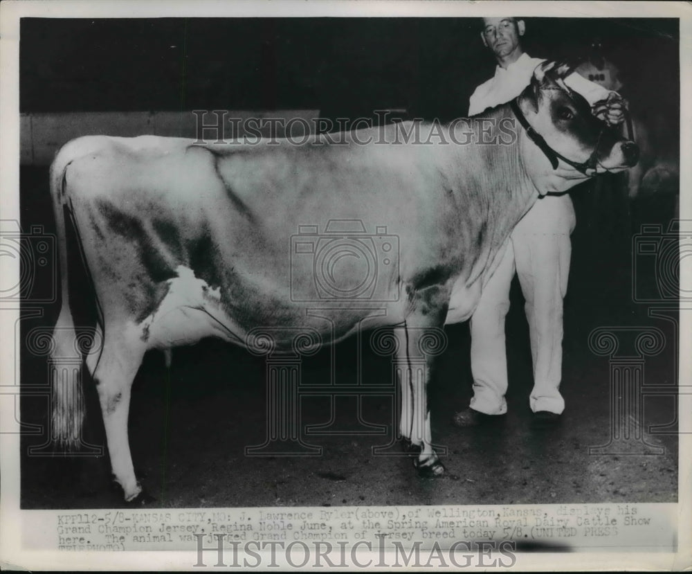 1952 Press Photo J. Lawrence Ryler displays Grand Champion Jersey Regina Noble - Historic Images