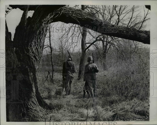 1943 Press Photo Homeward over a forest trail near Chicago two hunters, - Historic Images