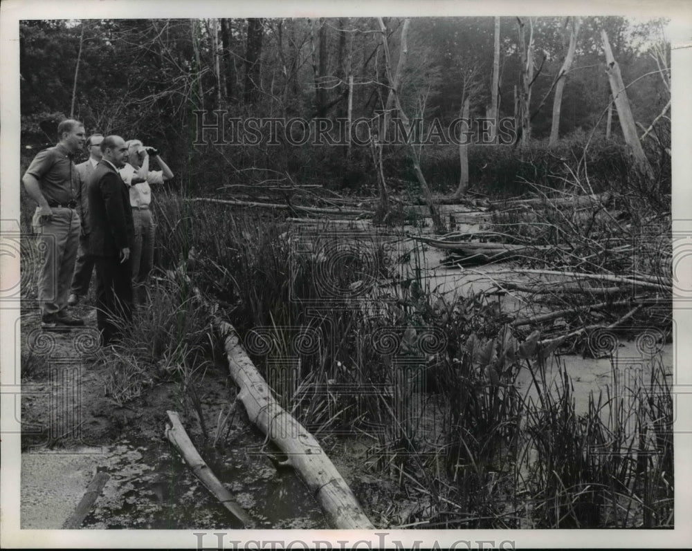Undated Press Photo Admiring Trees for the Cleveland Nature  Science Museum. - Historic Images