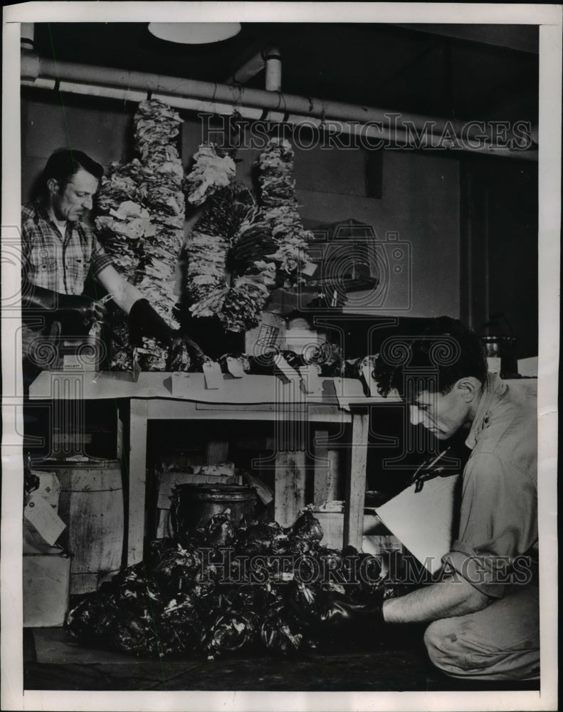 1948 Press Photo Fur Resources men, Ed Maunton and Arthur Cook - Historic Images