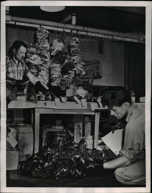 1948 Press Photo Fur Resources men, Ed Maunton and Arthur Cook - Historic Images