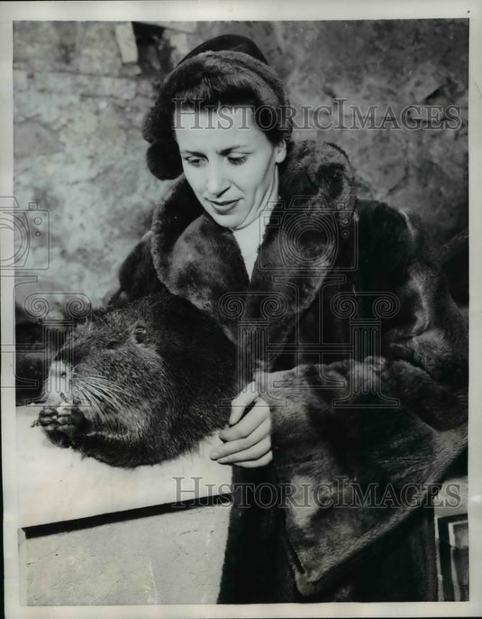 1959 Press Photo The lady in a beaver fur coat - Historic Images