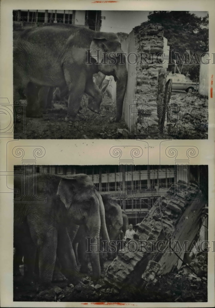 1960 Press Photo Elephant-Dozers go to town at Essen, West Germany. - Historic Images