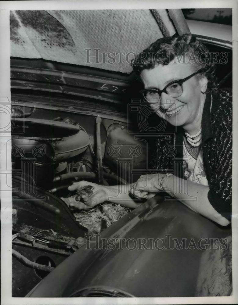 1956 Press Photo Mrs John Pappas holds sparrow who made her automobile home - Historic Images