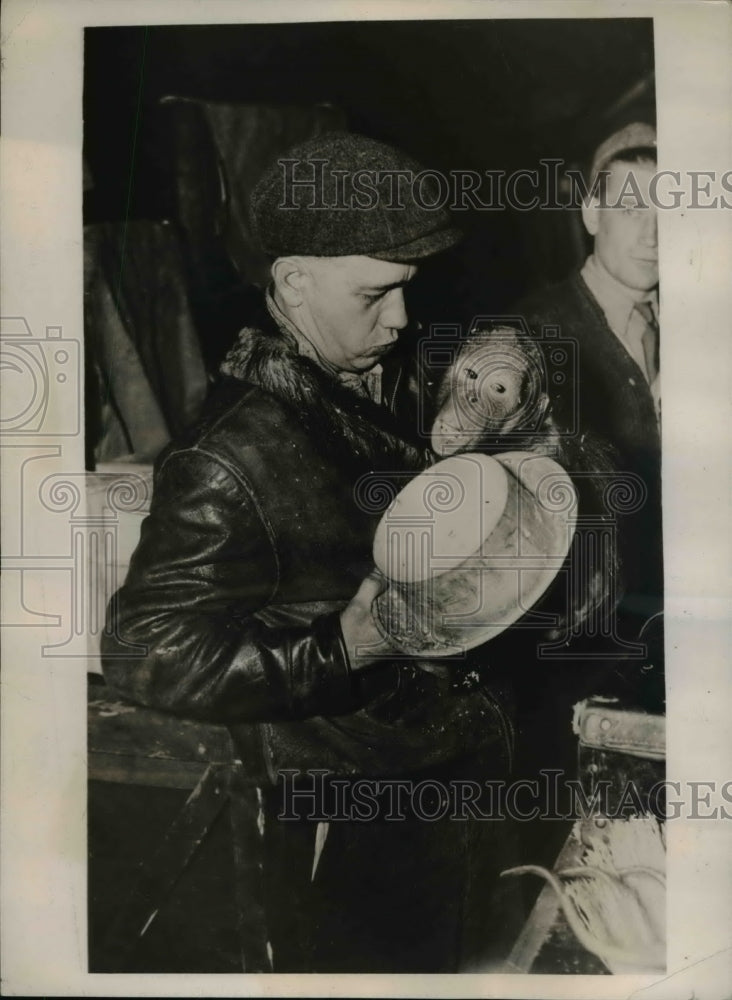 1937 Press Photo Little chimpanzee conked the elephant with the milk can lid - Historic Images