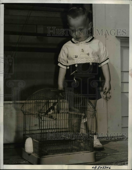 1940 Press Photo 20 month old Dickie Pleasant recognize 25 varieties of birds - Historic Images