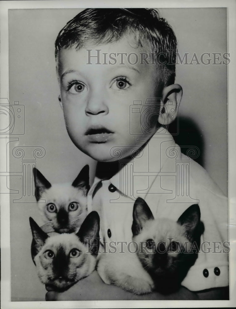 1961 Press Photo Jamie Walker with armful of kittens - Historic Images