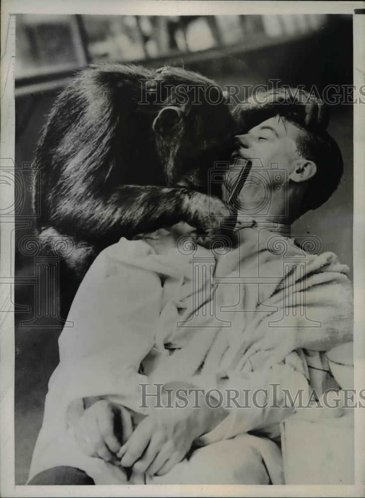 1937 Press Photo Hold still, now! grunts Peter, London Zoo chimp, as he reaches - Historic Images