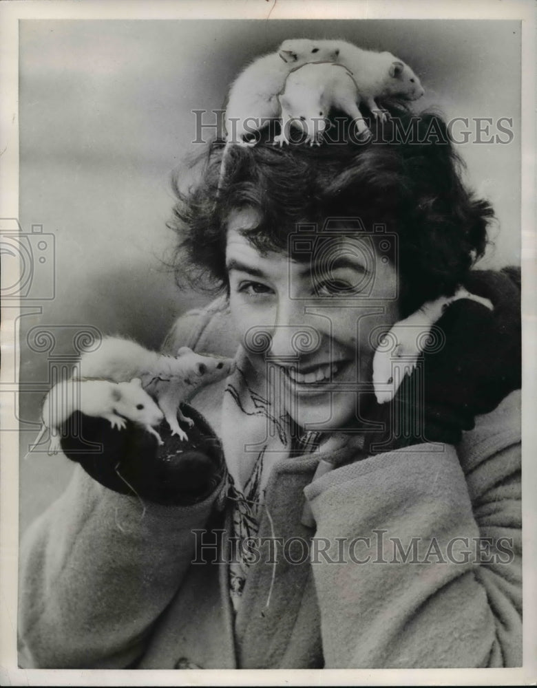 1955 Press Photo Diane O&#39;Grady with rodents on her head at London Zoo - Historic Images