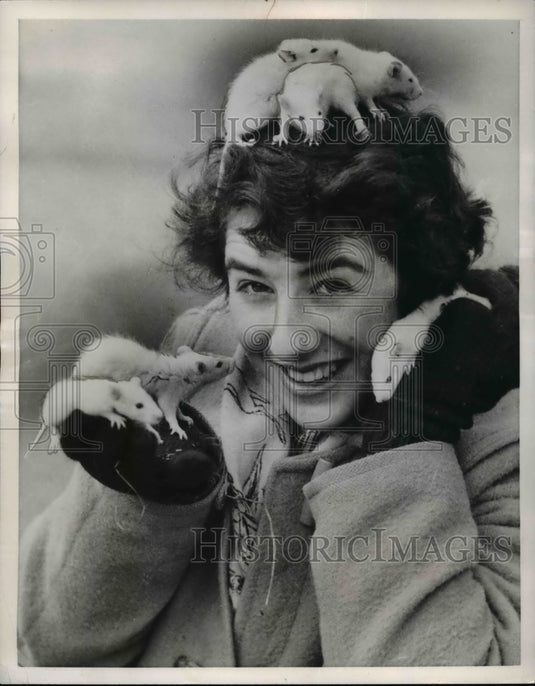 1955 Press Photo Diane O'Grady with rodents on her head at London Zoo - Historic Images