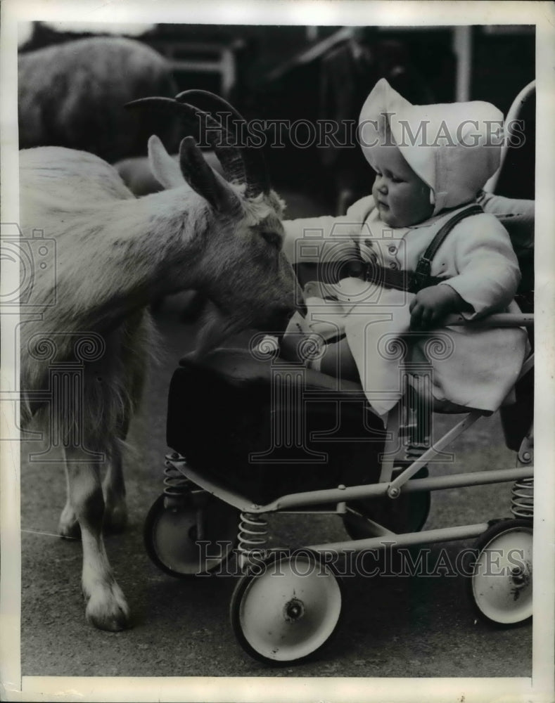 1949 Press Photo Mary Ann Coles with Goat at London Zoon - Historic Images