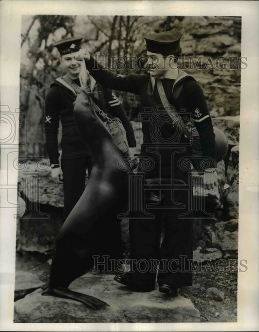 1941 Press Photo Two sailors feeding sea-lion at London Zoo - Historic Images