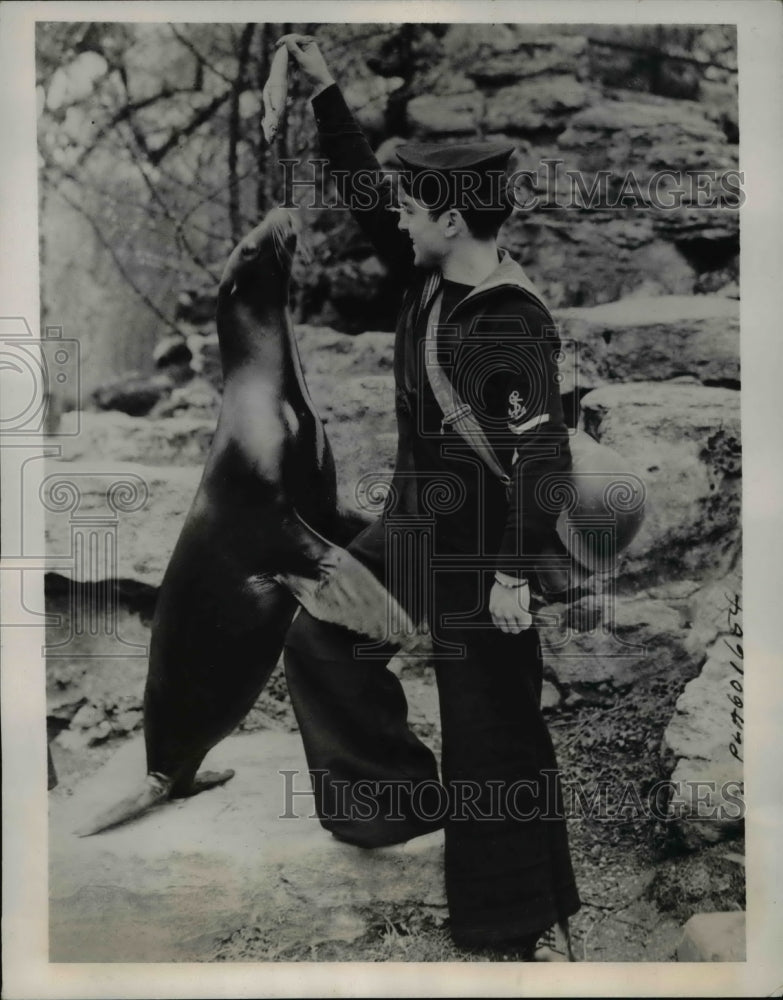 1941 Press Photo British Sailor Feeding Fish to Sea Lion, London Zoo - Historic Images