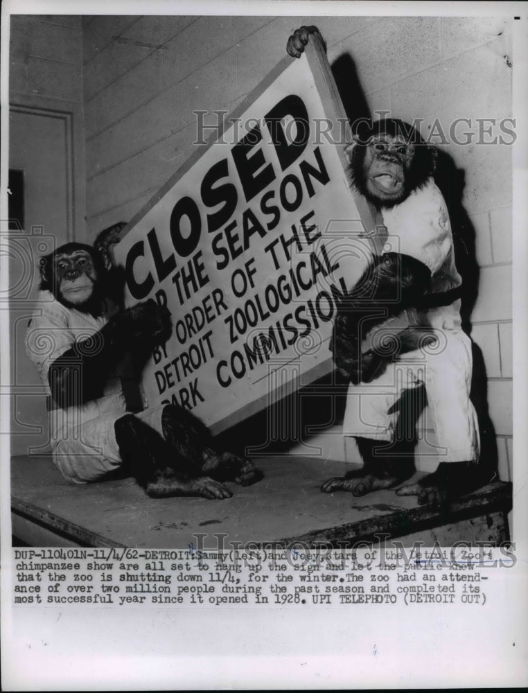 1962 Press Photo Chimpanzees Sammy, Joey Hanging Detroit Zoo Closing Sign - Historic Images