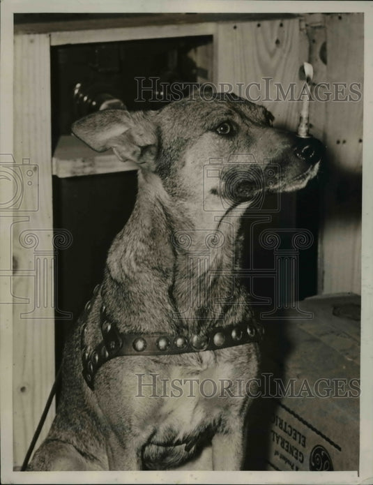 1940 Press Photo Barney Lassy holding a candle on his nose - Historic Images