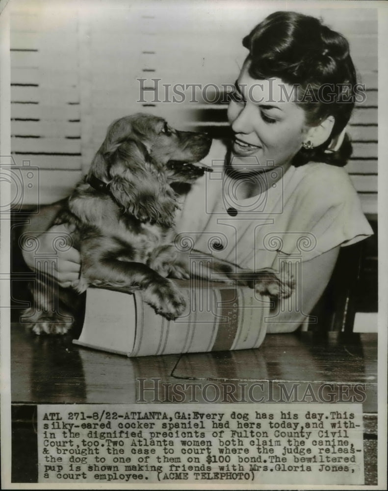 1947 Press Photo Cocker spaniel at Fultron Country Civil Court - Historic Images