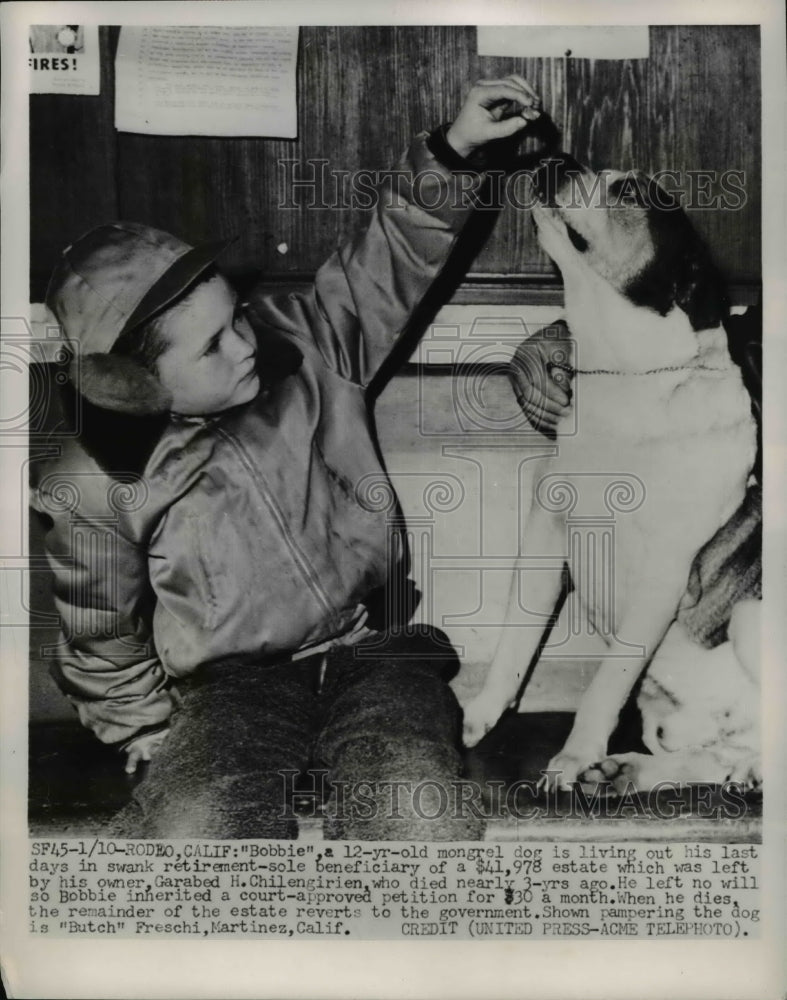 1952 Press Photo Bobbie, a 12 year old mongrel &amp; Butch Freschi - Historic Images