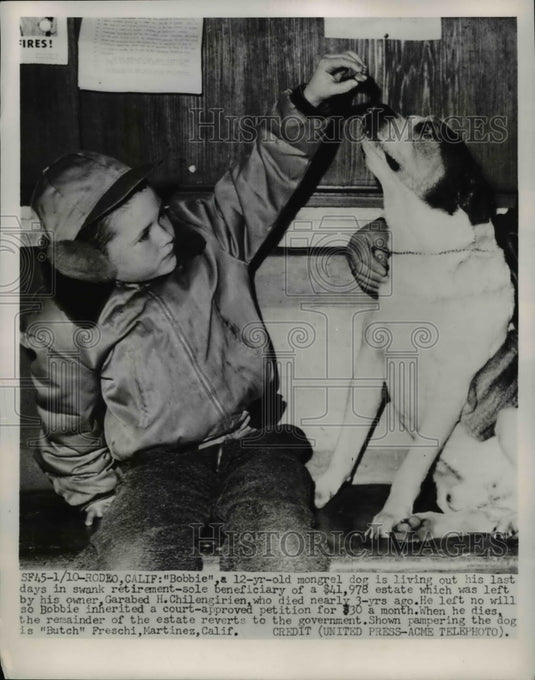 1952 Press Photo Bobbie, a 12 year old mongrel & Butch Freschi - Historic Images