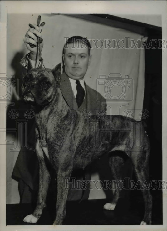 1941 Press Photo Best of breed of boxers - Historic Images