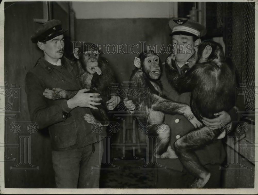 1938 Press Photo of two men with three chimpanzees from the Paris Zoo - Historic Images