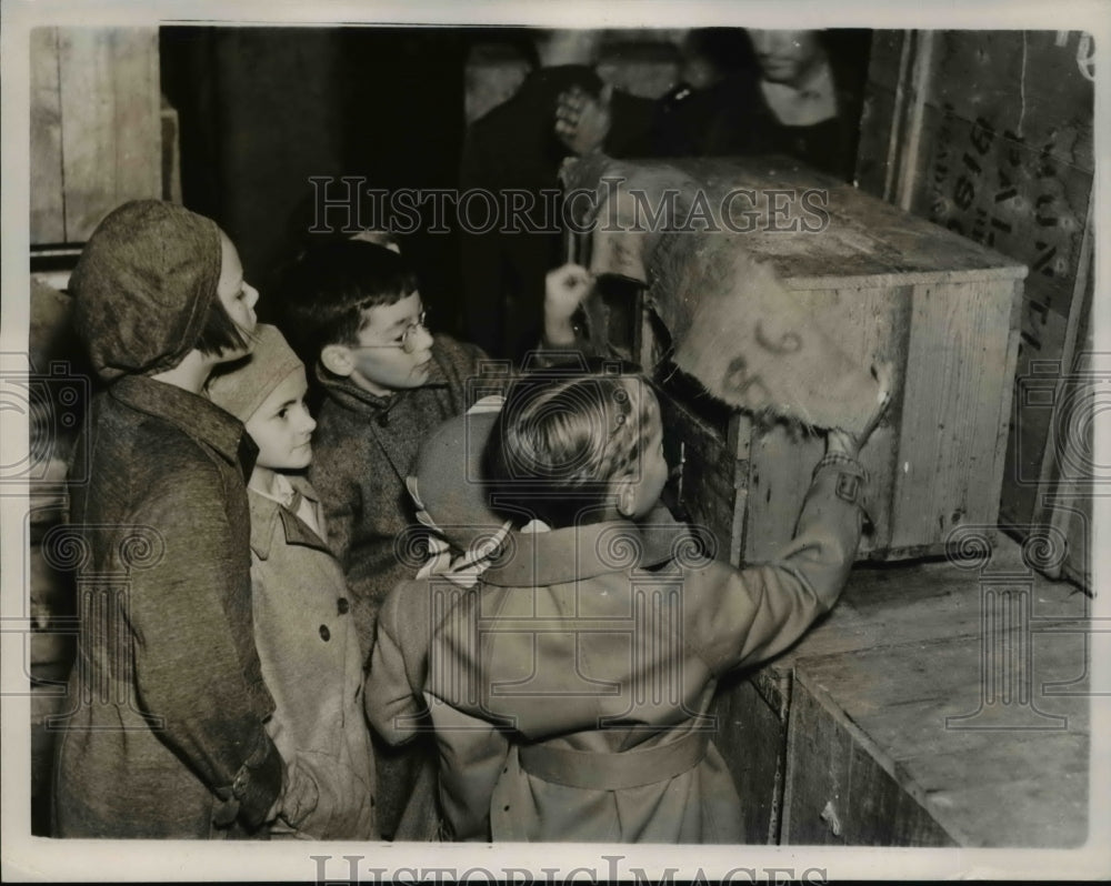 1937 Press Photo Group of youngster are looking into the burlap-covered cage - Historic Images