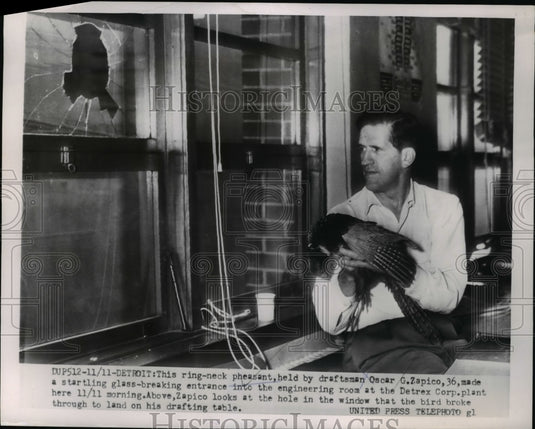 1954 Press Photo Ring neck pheasant held by Oscar Zapico - Historic Images