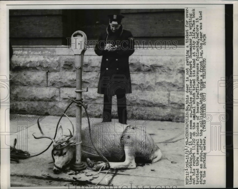 1959 Press Photo Minneapolis MN  deer tied to a parking meter &amp; cop Herbert Shoe - Historic Images