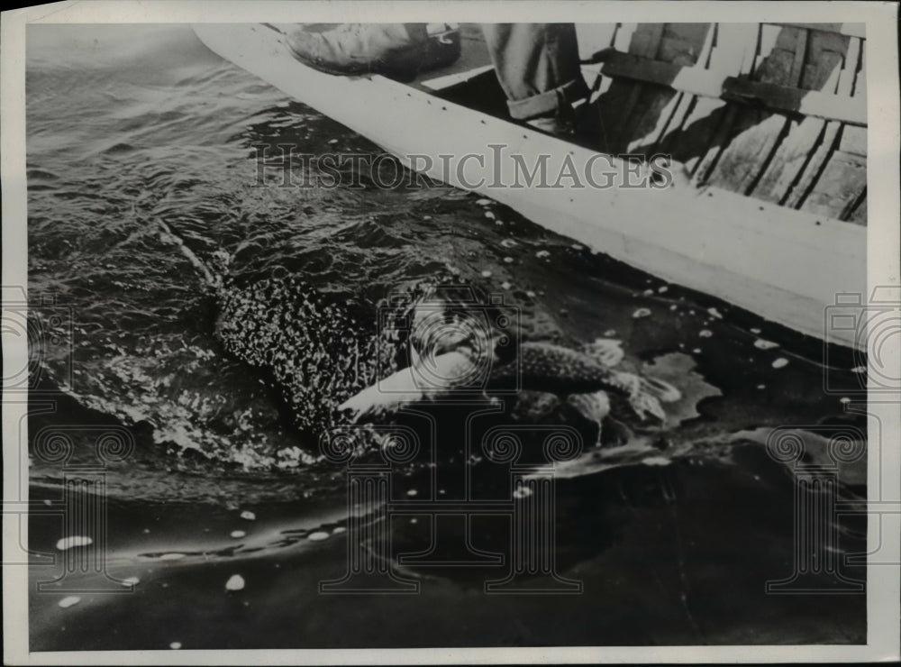 1938 Press Photo Bill Brokaw rat-tailed Spaniel, dog fisherman Curley - Historic Images