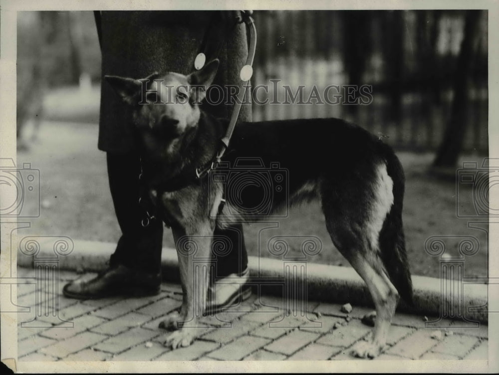 1929 Press Photo Blind student Jerome Prendergast  with his guardian dog - Historic Images