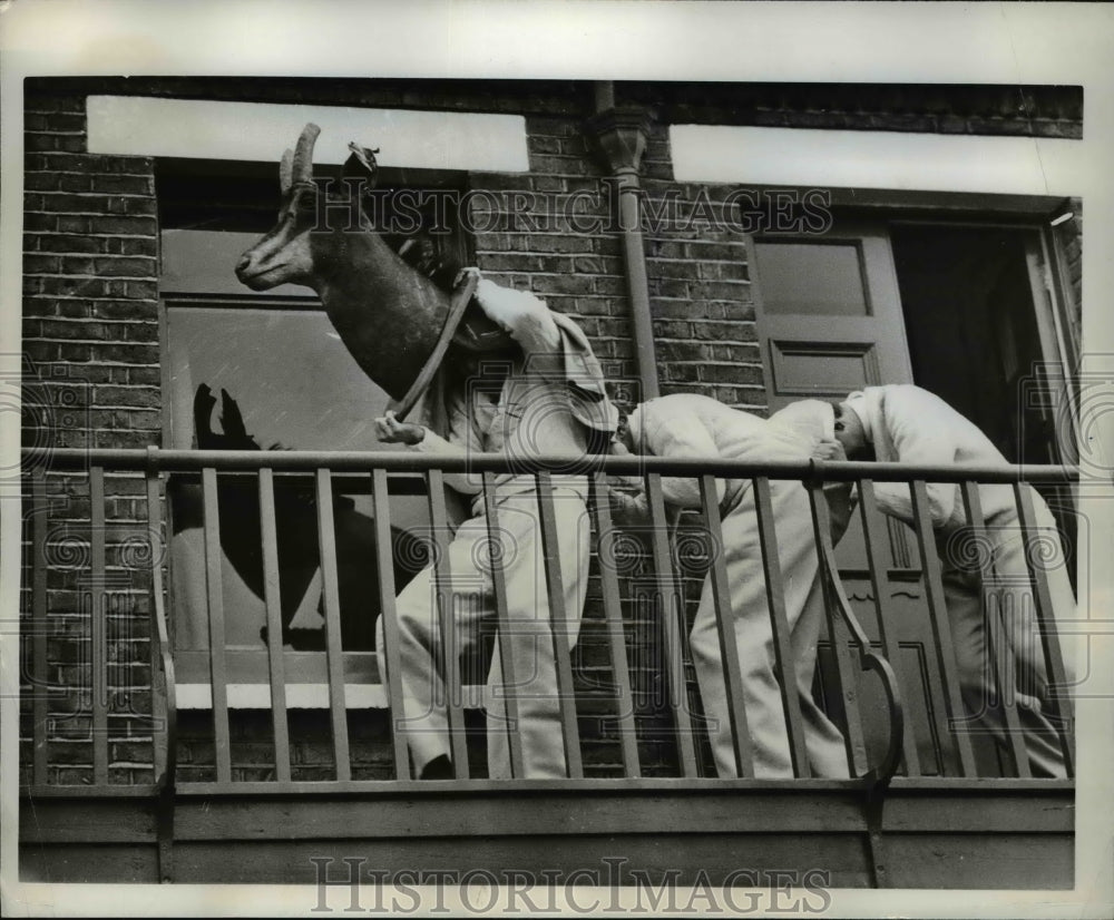 1961 Press Photo Cambridge University Boat Crew Members on Team Deer-Head Mascot - Historic Images