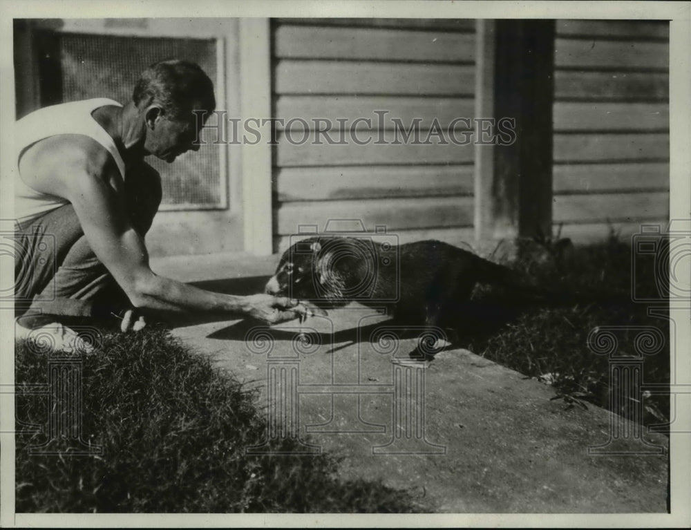 1931 Press Photo A keeper makes friens with coati mundi at zoo - Historic Images