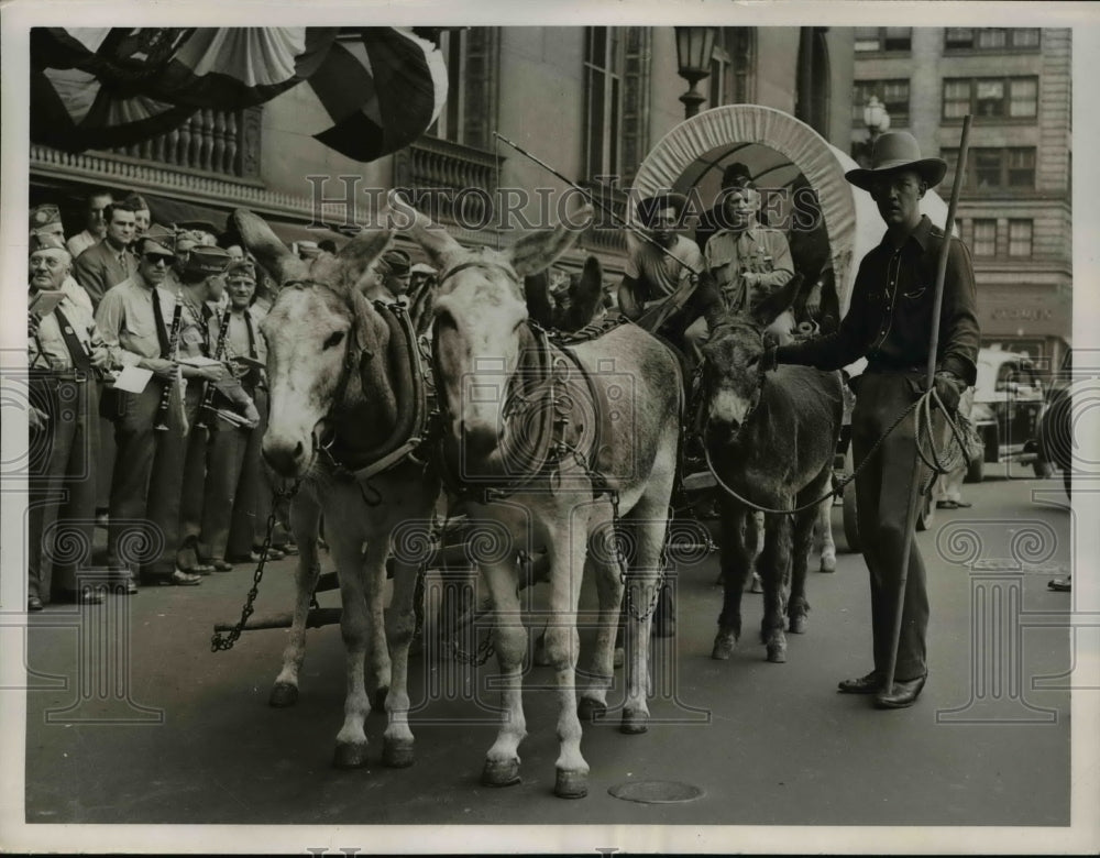 1947 Press Photo New VFW Cmdr Ray Brannaman drives burros in parade - Historic Images