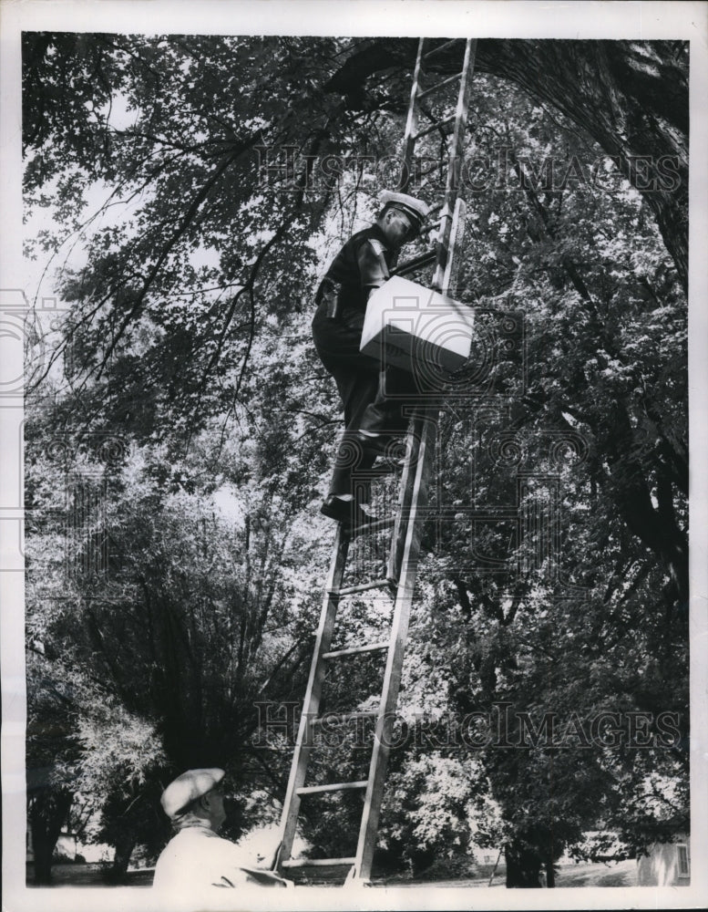 1958 Press Photo Policeman Raymond Hollatz rescuing the kittens trapped in tree - Historic Images