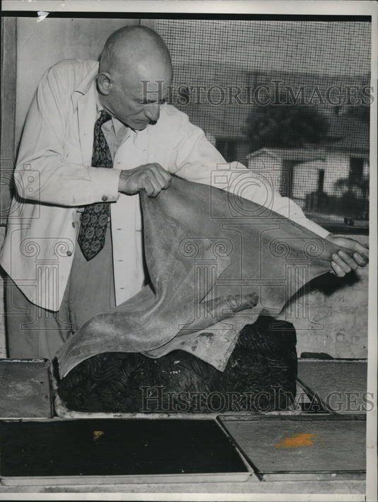 1942 Press Photo William Sharpe showing a rubber sheet which won't burn - Historic Images