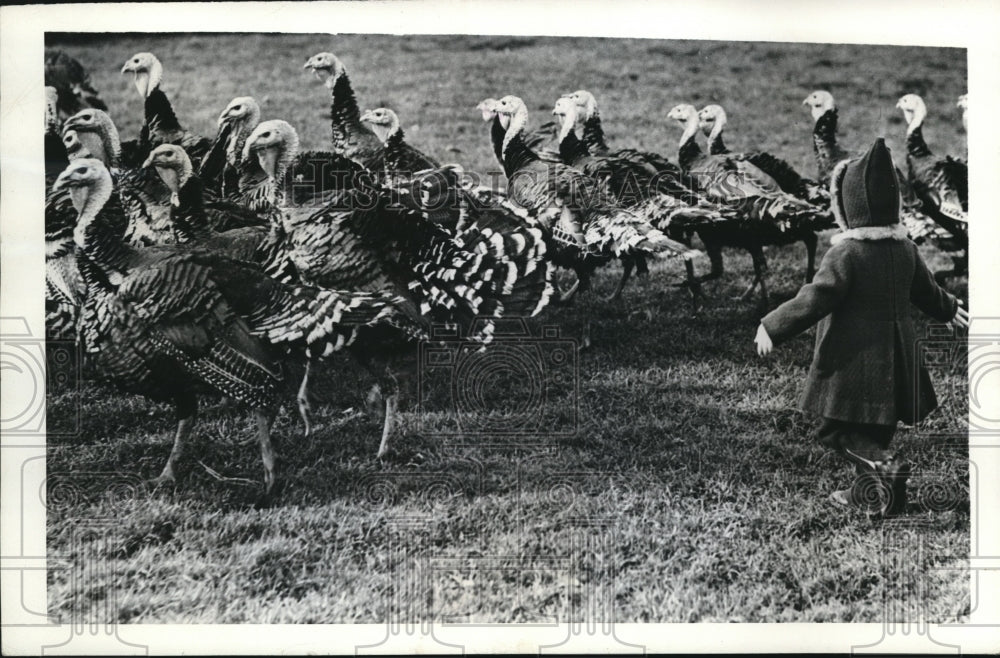 1942 Press Photo Three Year old turkey Farmer Daughter plays with the turkey - Historic Images