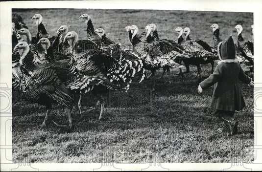 1942 Press Photo Three Year old turkey Farmer Daughter plays with the turkey - Historic Images