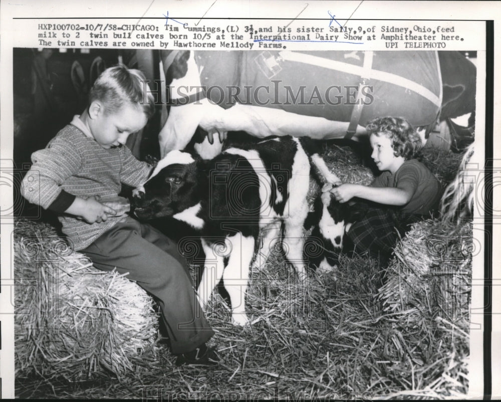 1958 Press Photo Tim Cummings and his sister Sally,  feed milk to 2 twin calves - Historic Images