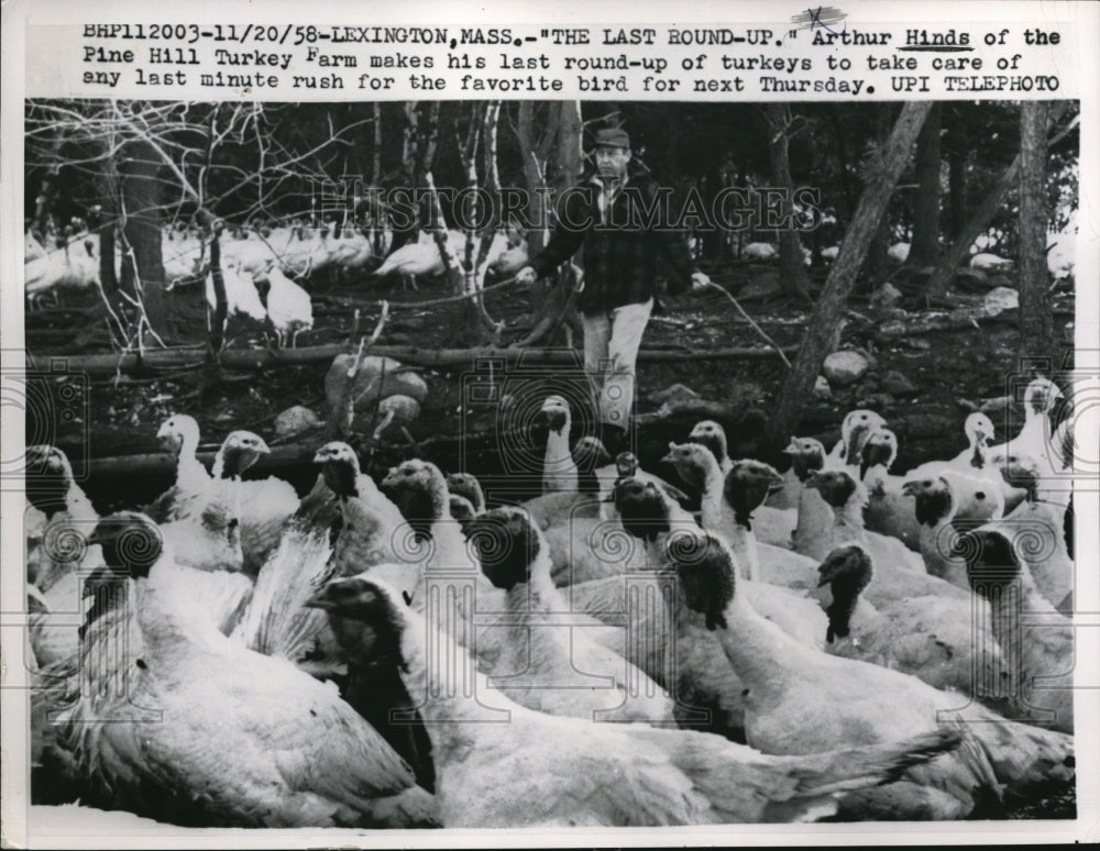 1962 Press Photo Arthur Hinds makes his last round up of turkeys - Historic Images