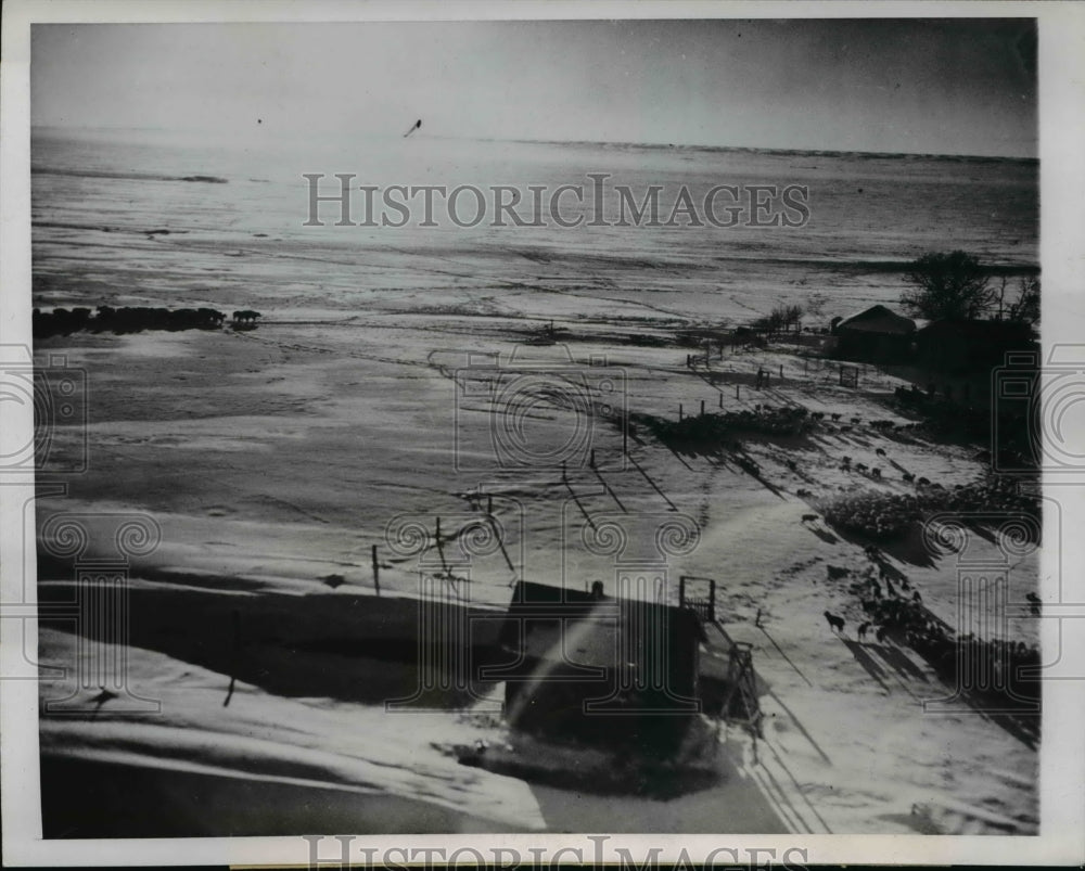 1946 Press Photo Young Moseley Ranch Covered in Blizzard Snow, Karval, Colorado - Historic Images