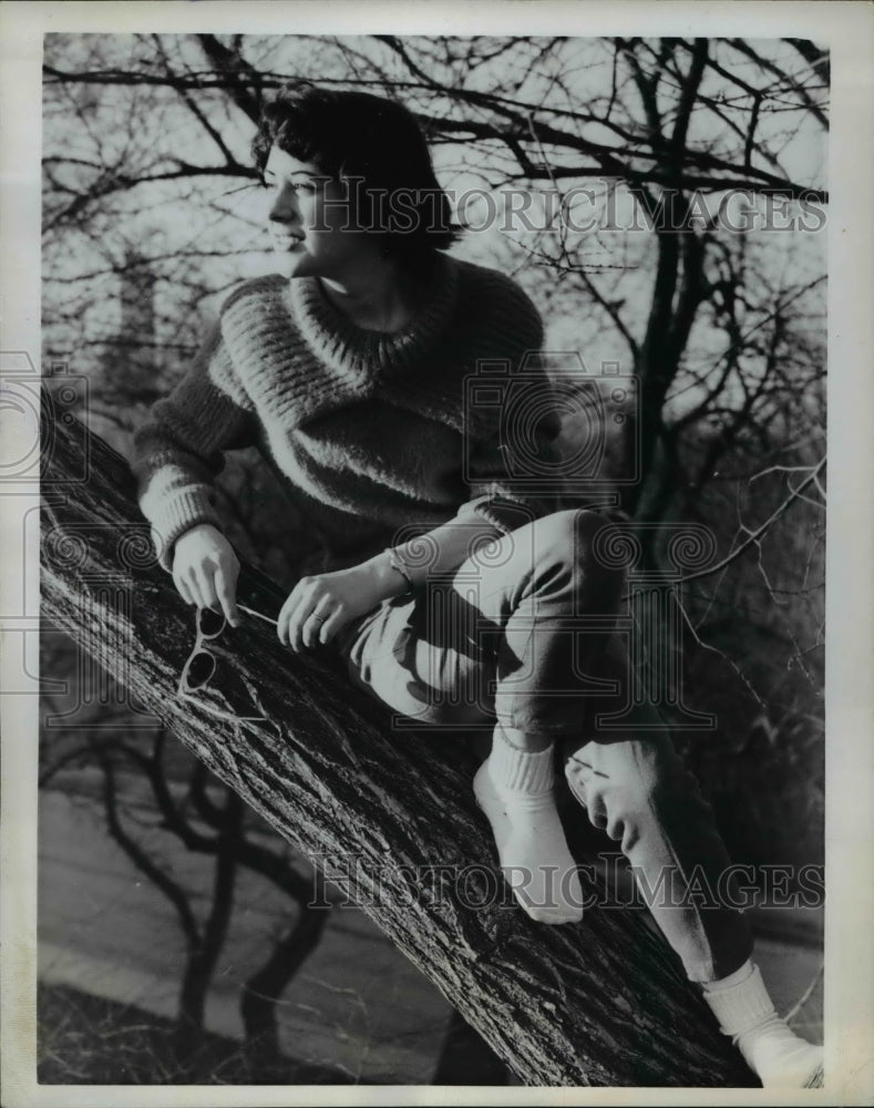 1962 Press Photo Pittsburgh Pa Gayle Epner enjoys a spring day in a tree - Historic Images