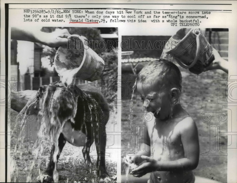 1961 Press Photo Toddler Donald Clskey, Dog Cool Off Buckets of Water, New York - Historic Images