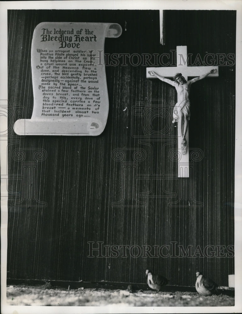 1956 Press Photo Cage of the birds with the crucifix - Historic Images