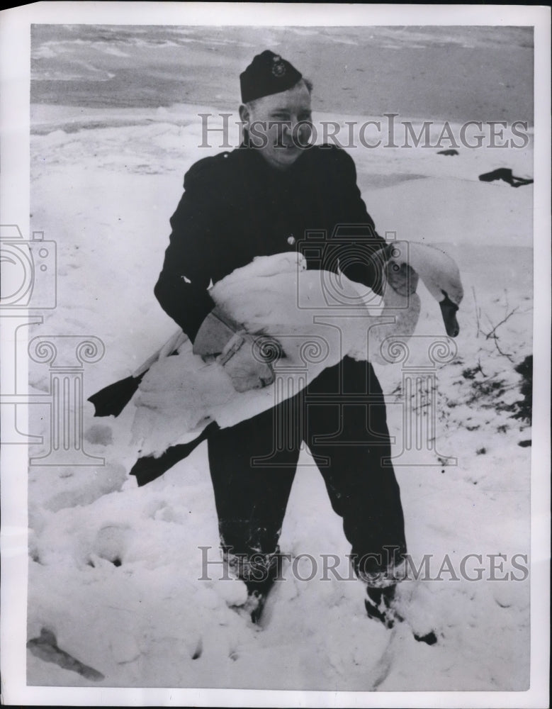 1954 Press Photo Fireman Gost Karlsson holds a swan he rescued from death - Historic Images