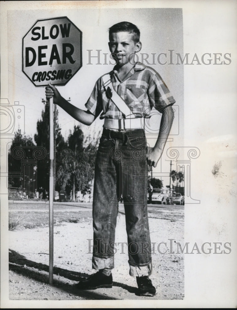 1959 Press Photo Youngster holding an eye catching sign at U.S. Highway 41 - Historic Images