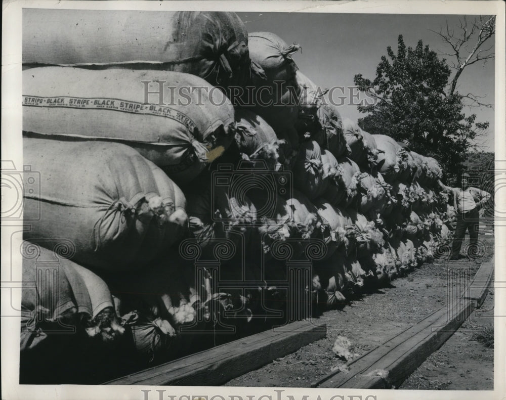 1948 Press Photo Seven tons of wool ready for shipment to market - Historic Images