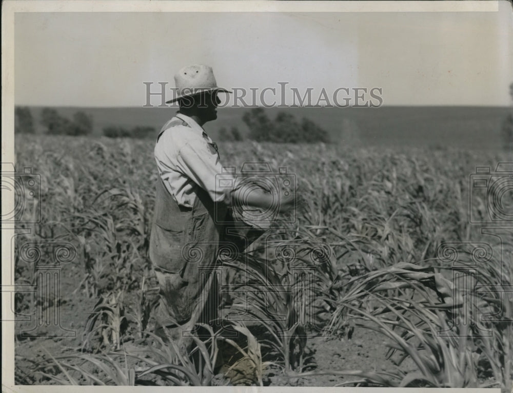 1938 Press Photo Joe Veskerna farmer near Elkhorn Neb  battles grasshoppers - Historic Images