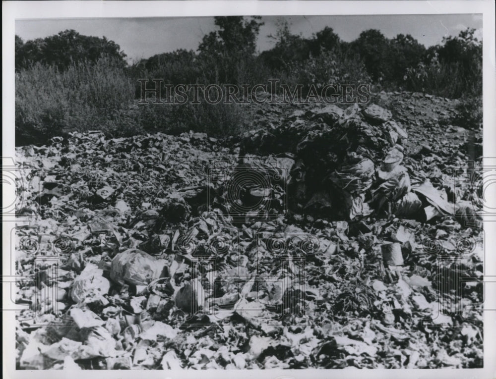 1958 Press Photo Pig Farm in Dunham Road, Walton Hills - Historic Images